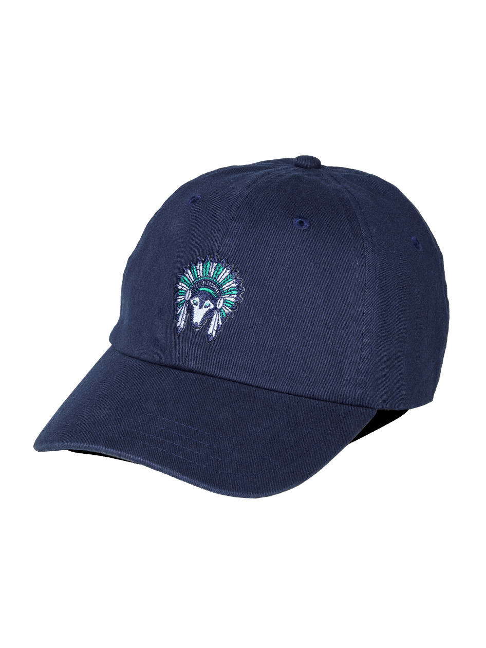 Greyson Clothiers Members Only Wise Wolf Dad Hat in MALTESE BLUE
