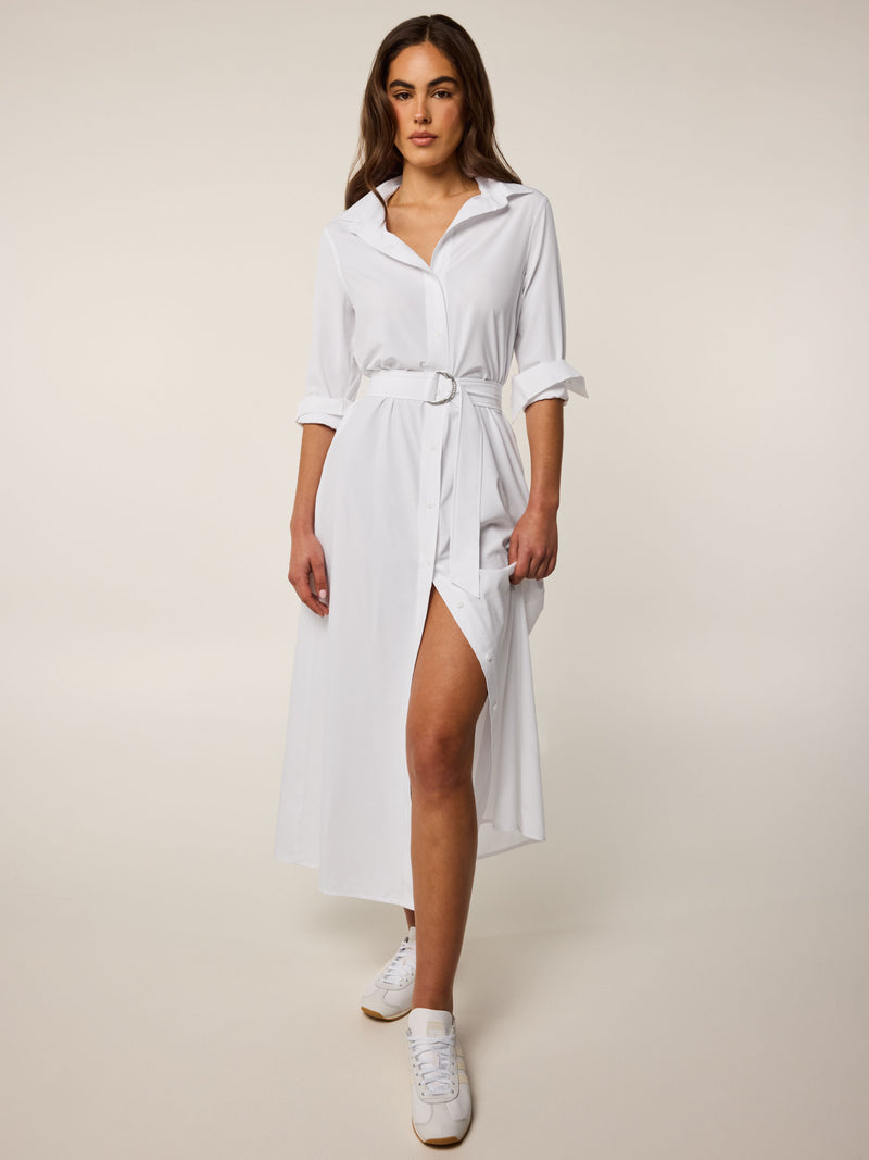 Greyson Clothiers Ashe Shirt Dress