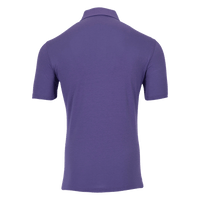 Northwestern Omaha Polo