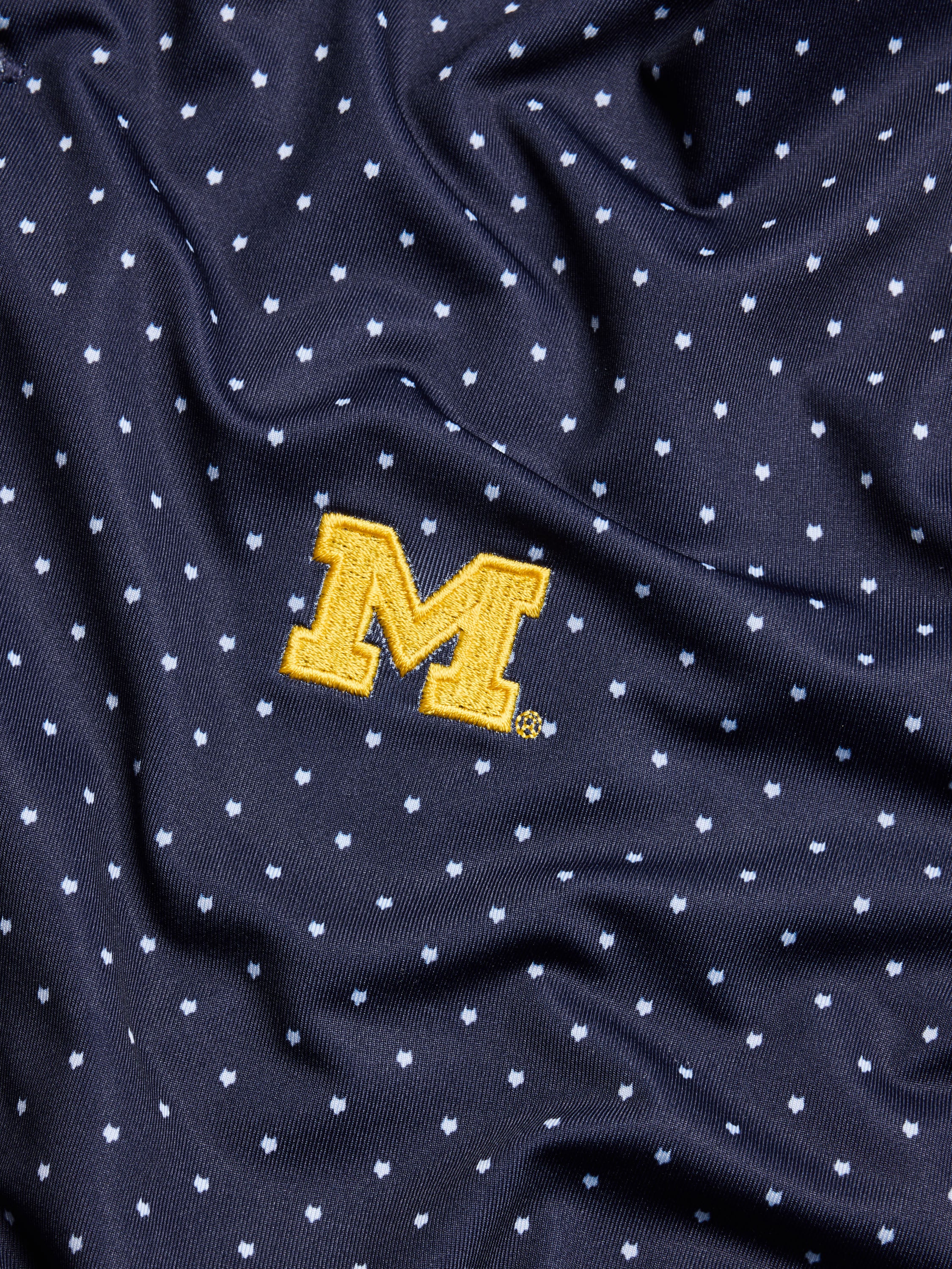 Mens University of Michigan Icon Polo | Greyson Clothiers