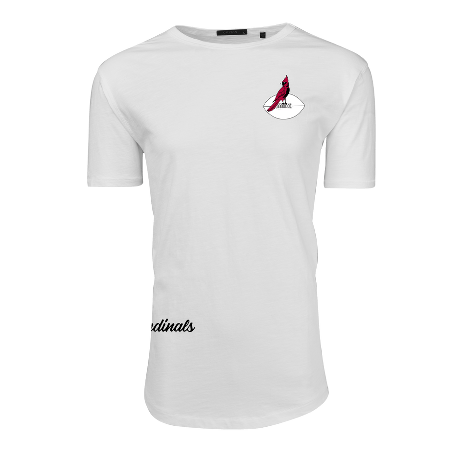 Arizona Cardinals Vintage Alpha Slub Tee