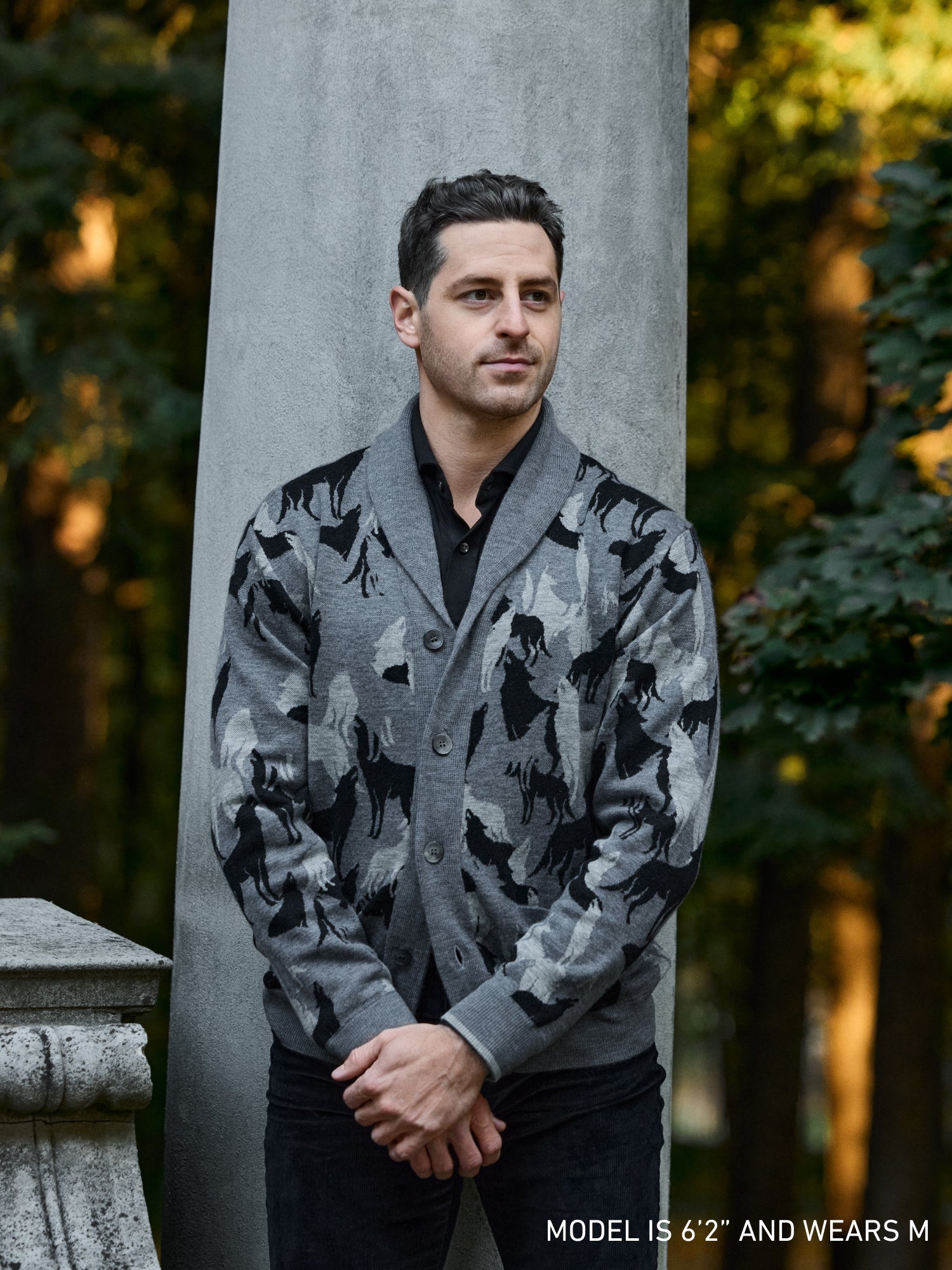 MSP23S85_051_In_the_Shadows_Ot