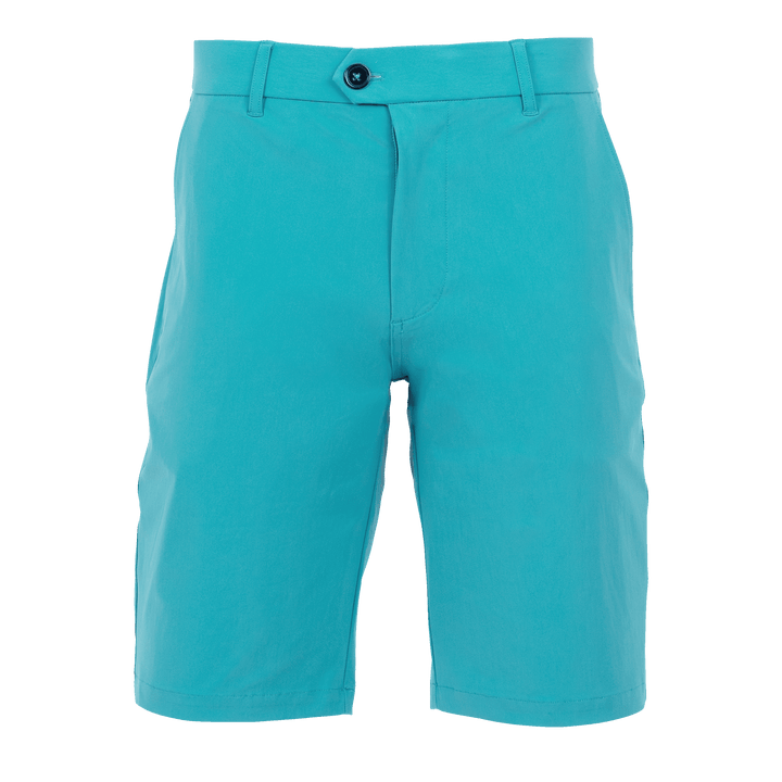 GREYSON グレイソン Montauk Short IONA サイズ32 GREYSON グレイソン Montauk Short IONA サイズ32 32インチ