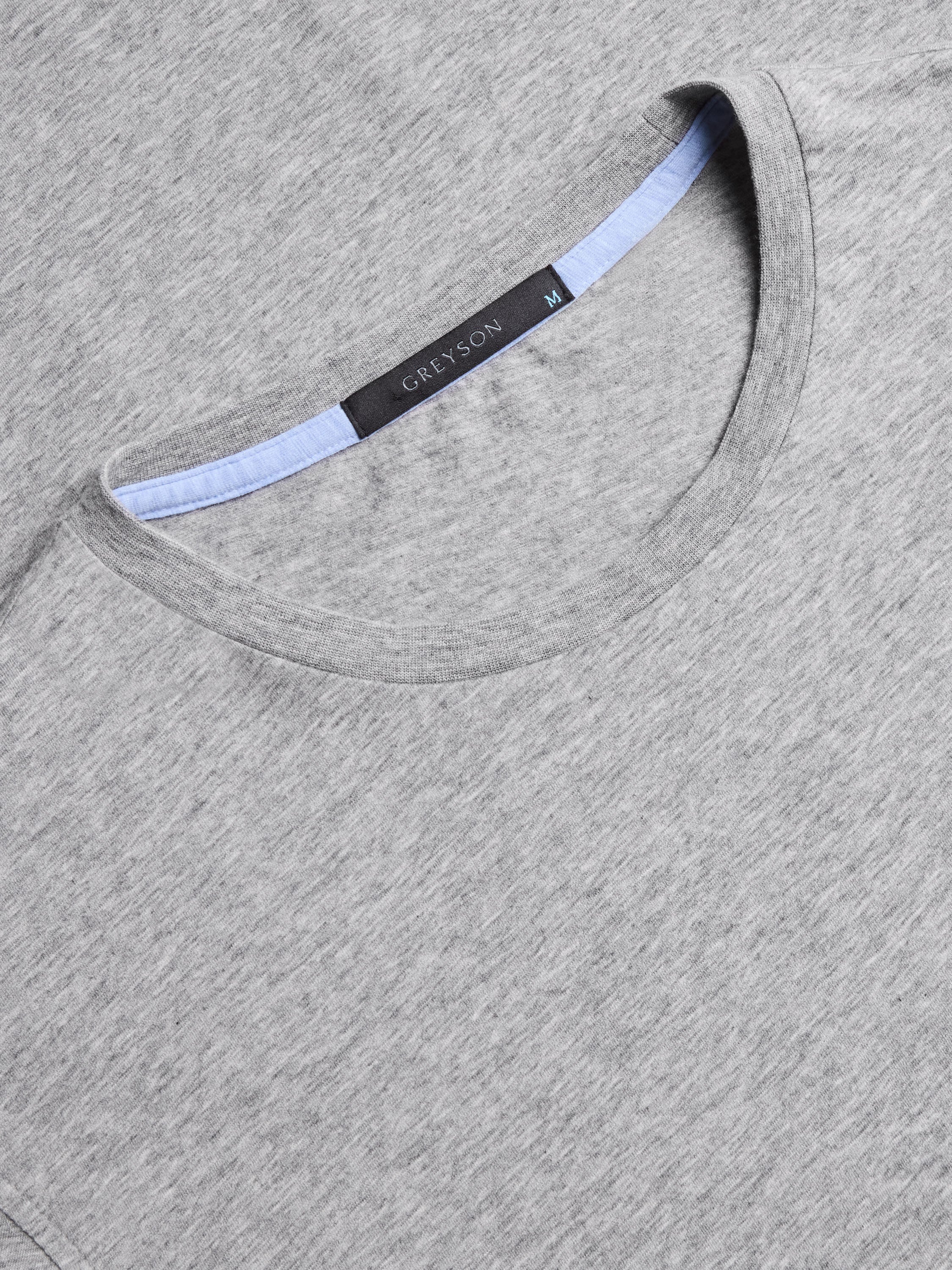 Mens Spirit Crewneck Tee | Greyson Clothiers