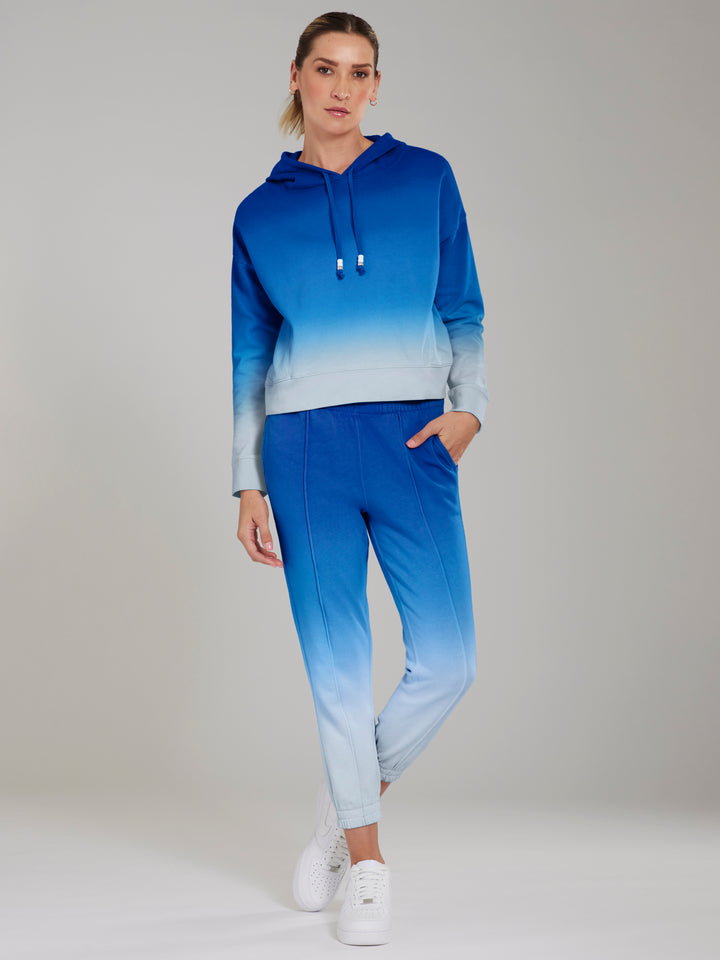 BLUE BIRD MULTI