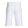 ARCTIC
